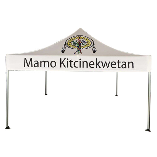 3*6 floding tent canopy advertising make canopy tent market marquee animal pop up gazebo 4x4