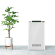 Multi-functional Intelligent Cheap Wholesale Ion Dust Cleaner Home Anion Air Puffier Office Ozone Air Cleaner