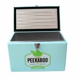 eco friendly custom big mobile travel beach camping car insulated steel metal ice 20L beer bottle can cooler box