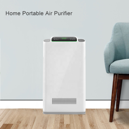Multi-functional Intelligent Cheap Wholesale Ion Dust Cleaner Home Anion Air Puffier Office Ozone Air Cleaner