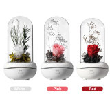 New Type  diffuser essential oil aromatherapy