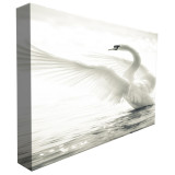High quality advertising product 4*3 pop up wall backdrop system fold up display stands