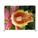8ft double side pillowcase backdrop high tension fabric trade show convention display ideas step and repeat backdrop