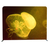 portable wall decoration design wedding drape backdrop for wedding events and event
