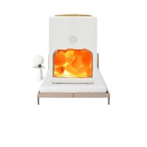 Unique style Himalayan Salt Lamp Hand Carved Natural Therapeutic Salt Rock Crystal Lamps Humidifier