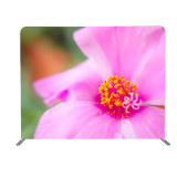 8ft double side pillowcase backdrop high tension fabric trade show convention display ideas step and repeat backdrop