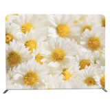 portable wall decoration design wedding drape backdrop for wedding events and event
