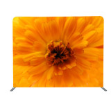 Custom graphic 8ft x 8ft tension fabric backdrop stand photo backwall convention display