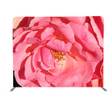 Portable Green Screen Photo Booth 3D Photo Backdrop Display Pillow Case Backdrop Stand Oversized Banner Stand