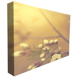 4x3 aluminum frame tension fabric backlit display pop up wall
