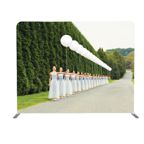 10ft portable tension fabric graphic aluminum tubes frame advertising backdrops display stand