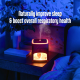 Unique style Himalayan Salt Lamp Hand Carved Natural Therapeutic Salt Rock Crystal Lamps Humidifier