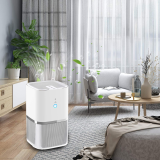 Powered negative ion generator air purifier for home