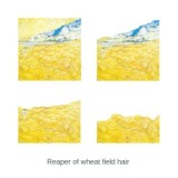 2021 New creative natural series stereoscopic sticky notes pad office school self-adhesive desk memo pad stationery