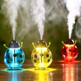 New Design Beautiful Shape Mini USB Beetle Vehicle Humidifier car air humidifier