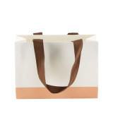 Dongguan factory cheap prices custom 1C printing gift bag with pantone colors quality gift bags