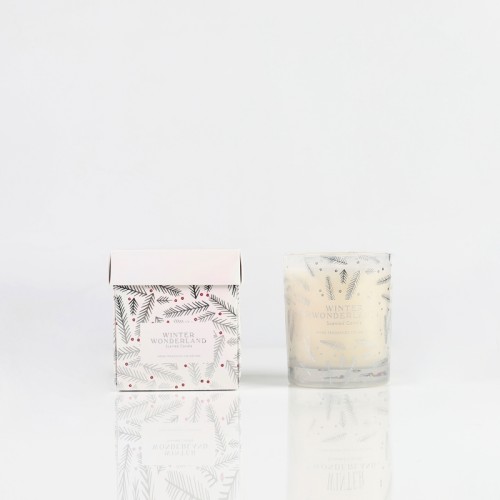 Art Glass Jar Packaging Strong Fruit Soy Wax Scented Led Candles