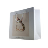 Ins Fashion Style Gift Bag Spot Handbag Customized Your Own Logo Packaging Shoes Hand Wrapping  Gift Luxury Paper Bag
