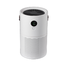 Room Plasma Anion Air Purifier