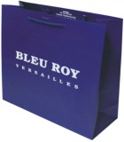 Dongguan factory cheap prices custom 1C printing gift bag with pantone colors quality gift bags