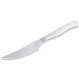 QG100MT1 Meat Cutting Knife 4 inch Stainless Steel Cheap Kitchen BBQ Knife