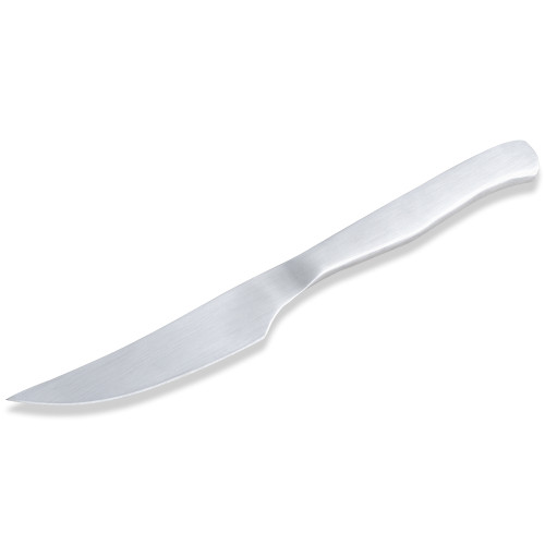 QG100MT1 Meat Cutting Knife 4 inch Stainless Steel Cheap Kitchen BBQ Knife