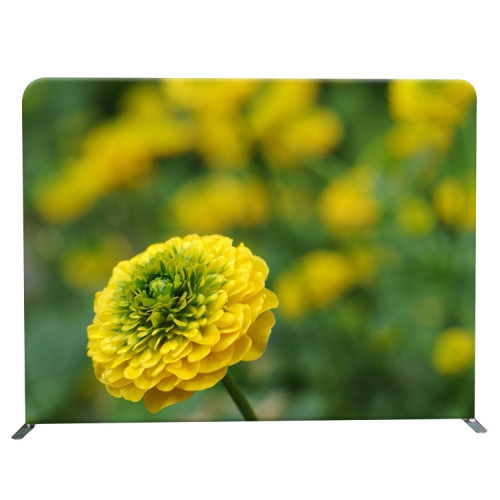 Aluminum folding banner backdrop Expomax 4*3 custom pop up frame stand display