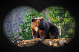 Compact Telescope Waterproof 10x25 Binoculars for Kids and Adults