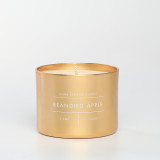 Top quality customized Birthday Rose Gold aluminum cup Vessel candle
