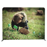 Trade show fabric photography display 8 feet backdrop