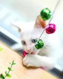 Professional Made Fashion Interactive Cat Toy