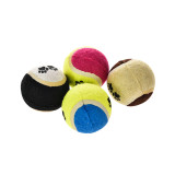 Multiple Colour Non-toxic Edible interactive durable dog toy ball