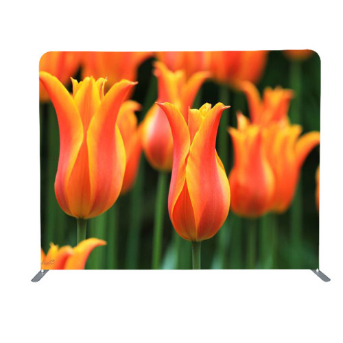 Straight Tension Fabric Photo Booth Display for Events Flower Wall Artificial Banner Backdrop Stand