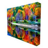Trade Show portable 4*3 custom size top pop up curved fabric display backdrop