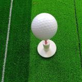 Unique golf tees