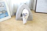 Wholesale Custom Hot Sale Warm Relax Luxury Pet Cat Cave Bed