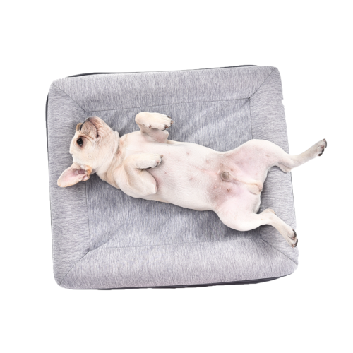 Summer Self-Cooling Washable Modern Pet Bed Detachable Soft Customizable Dog Cushion