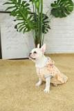 dog apparel pet clothes,dog costume pet clothes
