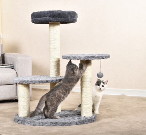 pet small cat climbing tree products