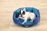 Summer Cooling Oxford Fabric Pet Sofa Waterproof Breathable Orthopedic Dog Bed