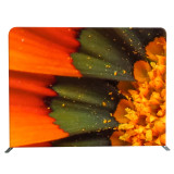 Photo Booth Pillow Case Tension Fabric Display Custom Printed Backdrops
