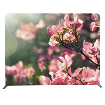Foldable Aluminium advertising frame fabrics photobooth backdrops 8ft foldable tradeshow backdrop