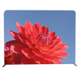 China factory for sale 8ft x 8ft straight trade show tension fabric event aluminum backdrop stand