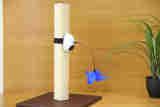 Fashion Automatic Laser Cat Toy Interactive Cat Laser Toy Cat Toy Feather