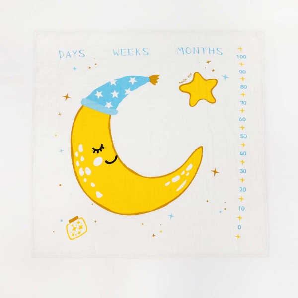 Baby Monthly Milestone Blanket Girl or Boy Premium Extra Soft Fleece 50x60