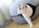 Custom Wholesale Pet Bed Covers,felt cat bed
