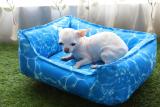 Memory Foam Pet Dog Bed