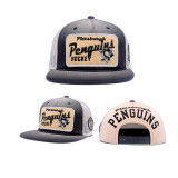 Promotional embroidery flat bill mesh trucker cap and hat