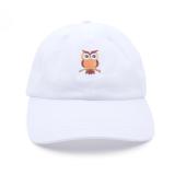 Custom embroidered sport baseball cap cheap price 6 panel Dad hat baseball cap hats