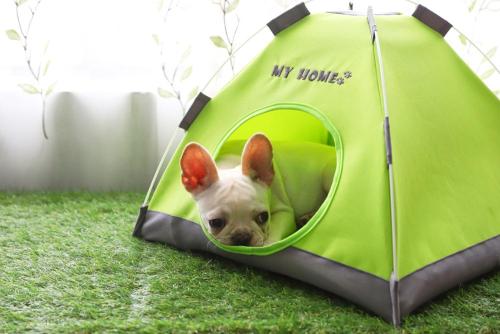 Wholesale Indoor waterproof foldable pet tent,pop up dog tent